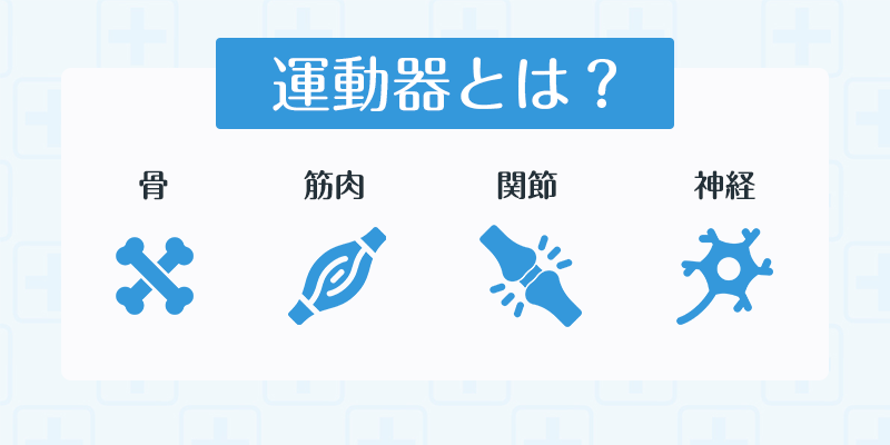 運動器のリハビリとは？